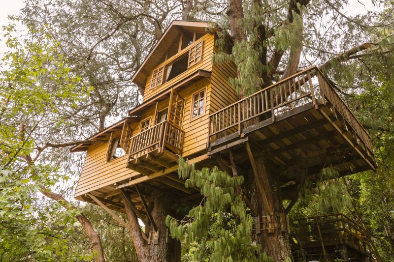 Treehouse Building