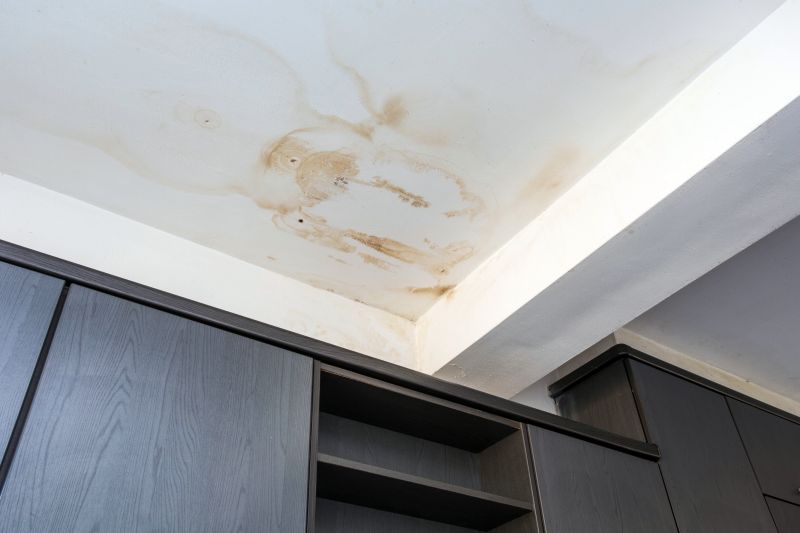 Attic Water Damage Repair in Summerville, SC