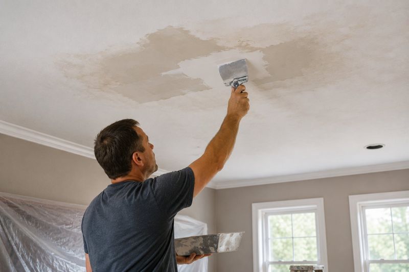 Leaking Ceiling Repair in Santa Rosa, CA