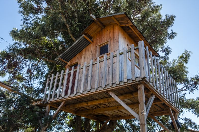Treehouse Building
