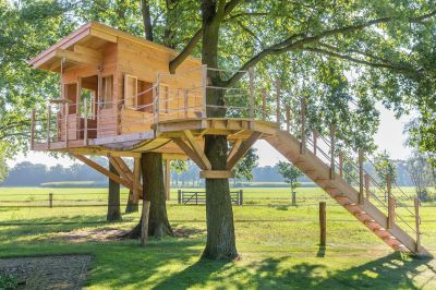 Treehouse with Wraparound Deck